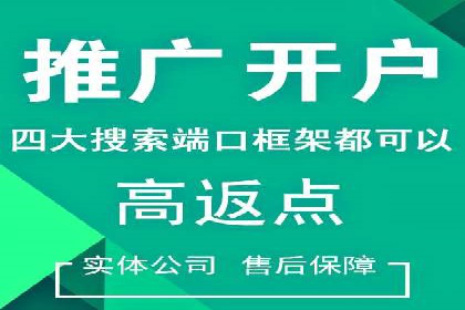 百度优化推广案例：打造行业领先品牌